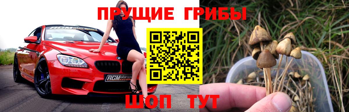 Псилоцибиновые грибы мицелий Арсеньев